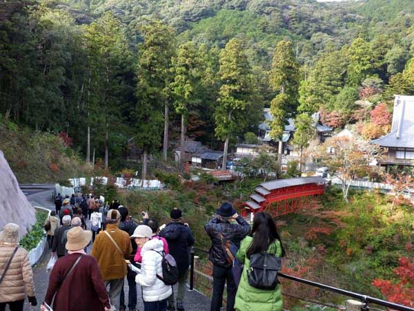 三重の塔から大本堂へ